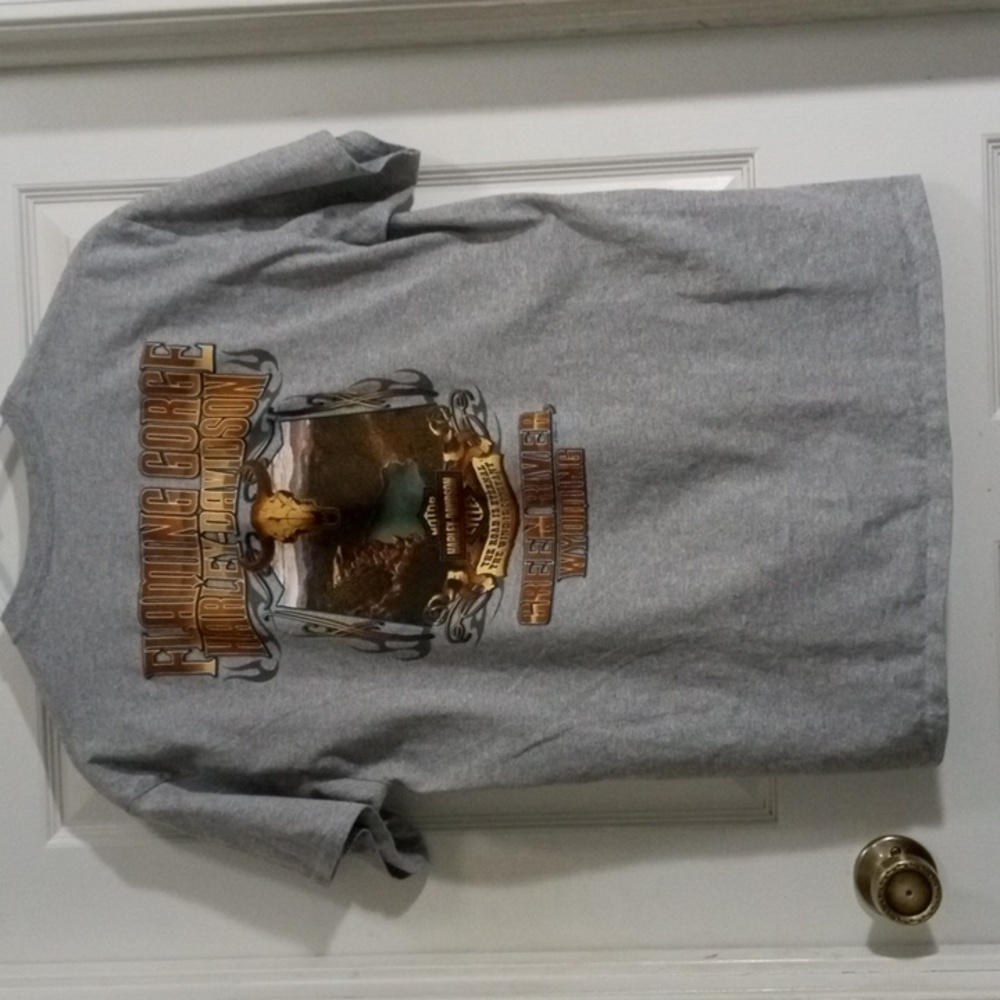 Harley-Davidson V-Twin Powered Gray Short Sleeve Tee Shirt Mens Large - Picture 4 of 6